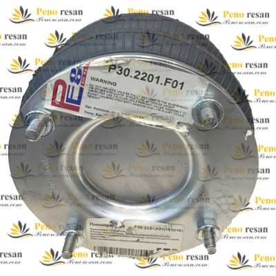 نمایندگی بالشتک PEGA